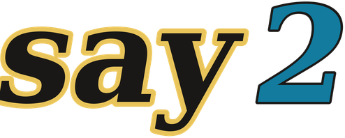 say2 logo